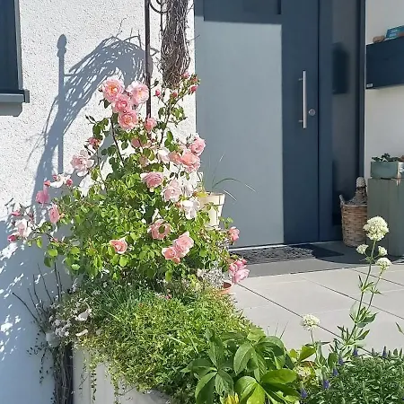 Rebgaertle * בריטצינגן