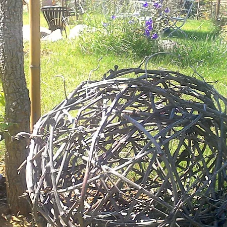 דירה Rebgaertle *