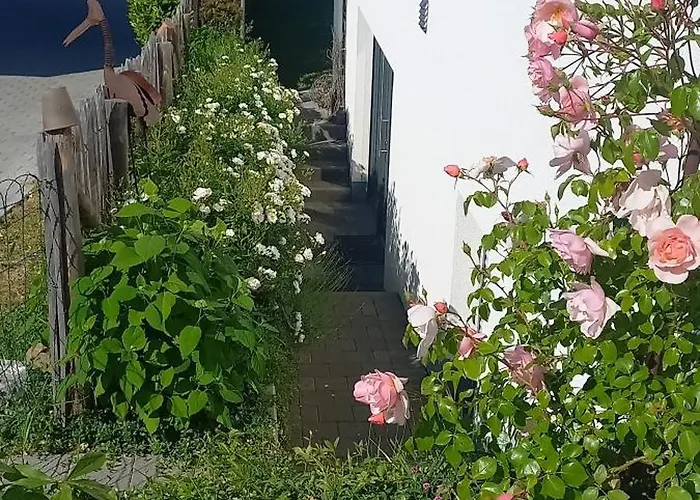 Rebgaertle Апартаменты